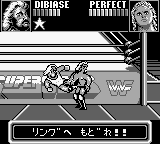 WWF Superstars (Japan) In game screenshot